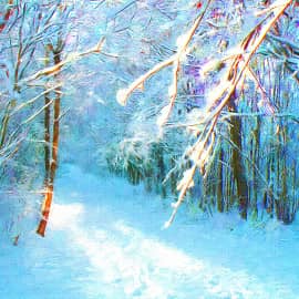 Морозные дни.