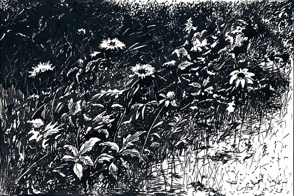 Летний карнавал  The Summer Carnival