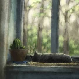 Наблюдение