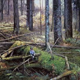 "Жизнь леса. Сойка"