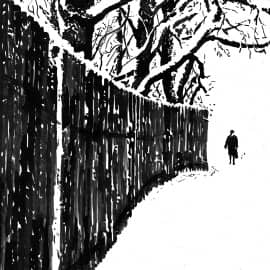 Снег идет  Its snowing