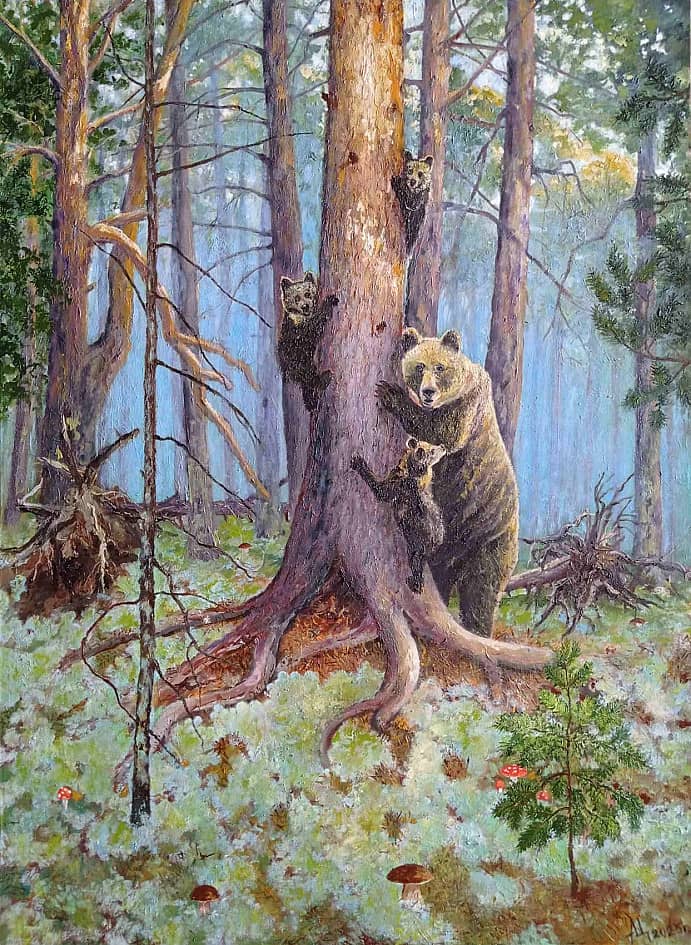 Медвежий угол