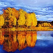 Осенние отражения.