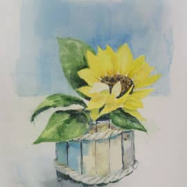 Маленький подсолнух