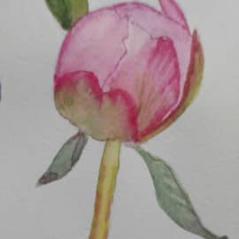 Рождение красоты