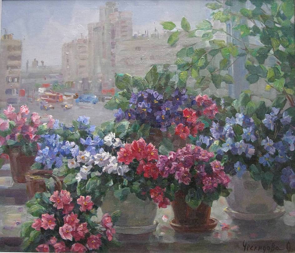 Цветущие фиалки. Вид из окна на Наличный мост