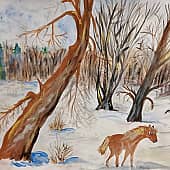 На природе в декабре