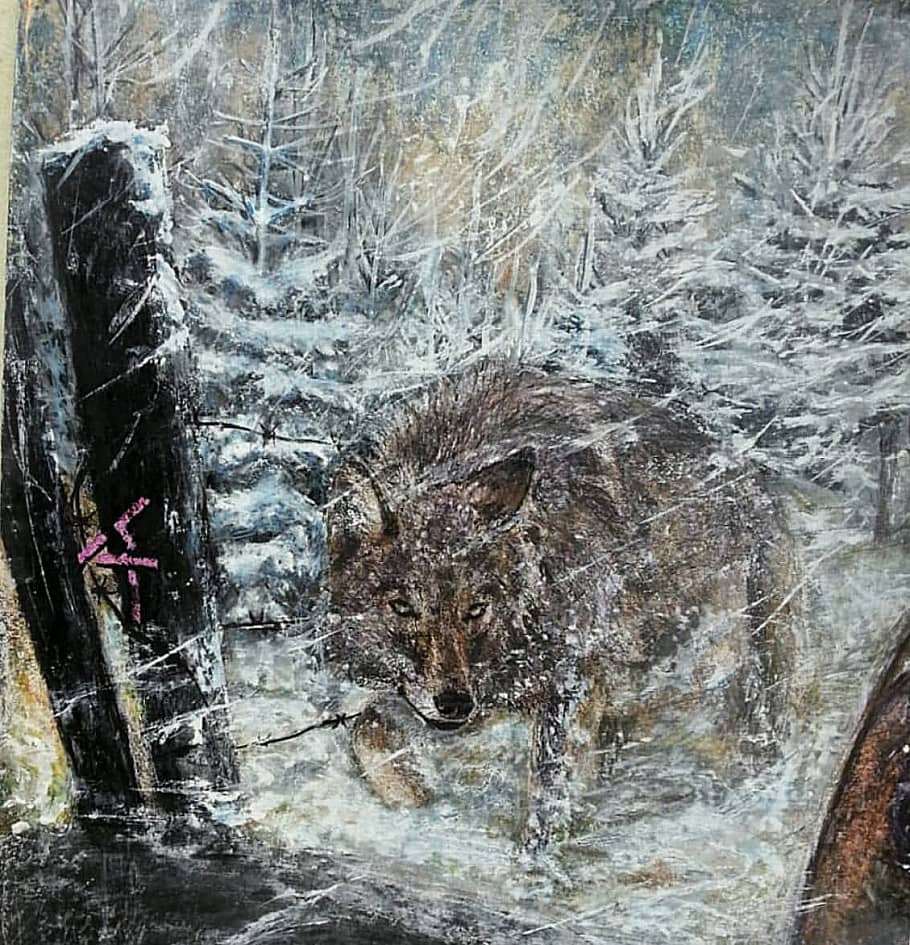 Выбор часть 4 (2)