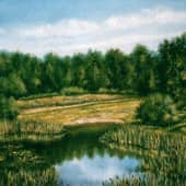 Озеро с камышами  A Lake with the Reeds