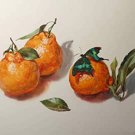 Мандарины и бабочка