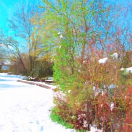 весенний снег