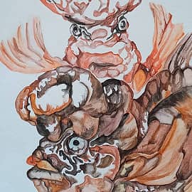 Странные рыбки(коричневые)