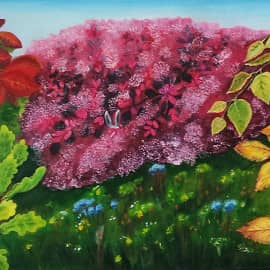 Заячий холодок