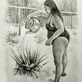 Юкка садовая