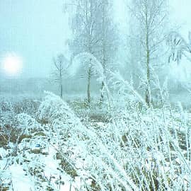 морозный рассвет-2