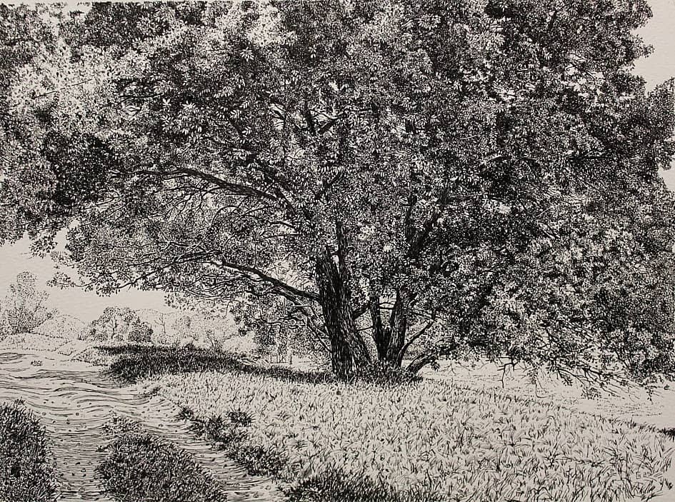 Дерево у дороги