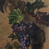 Гроздь винограда на стене.