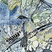 Однажды в лесу