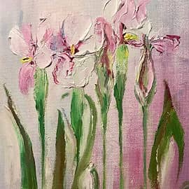 Ирисы