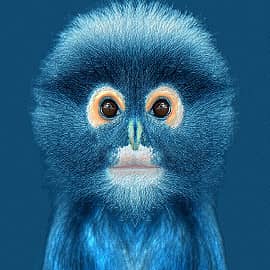 Маленькая обезьянка