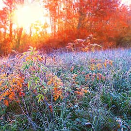 Мороз и солнце.