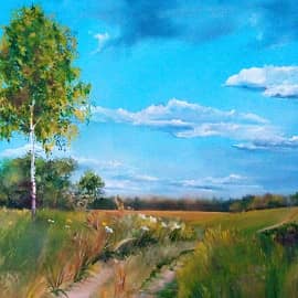 Старокрымская степь