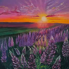 Люпины на закате