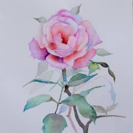 Роза. Мастер класс ЛаФе.