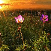 Детство, юность, зрелость.