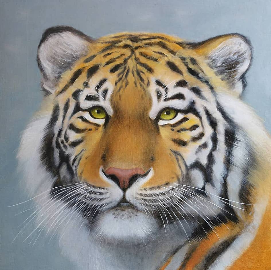 Амурский тигр