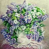 Сирень Аукубафолия