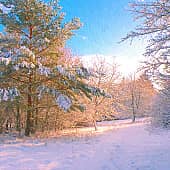 Зимнее утро.