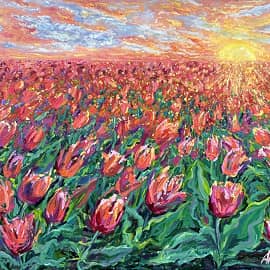 Тюльпаны на закате