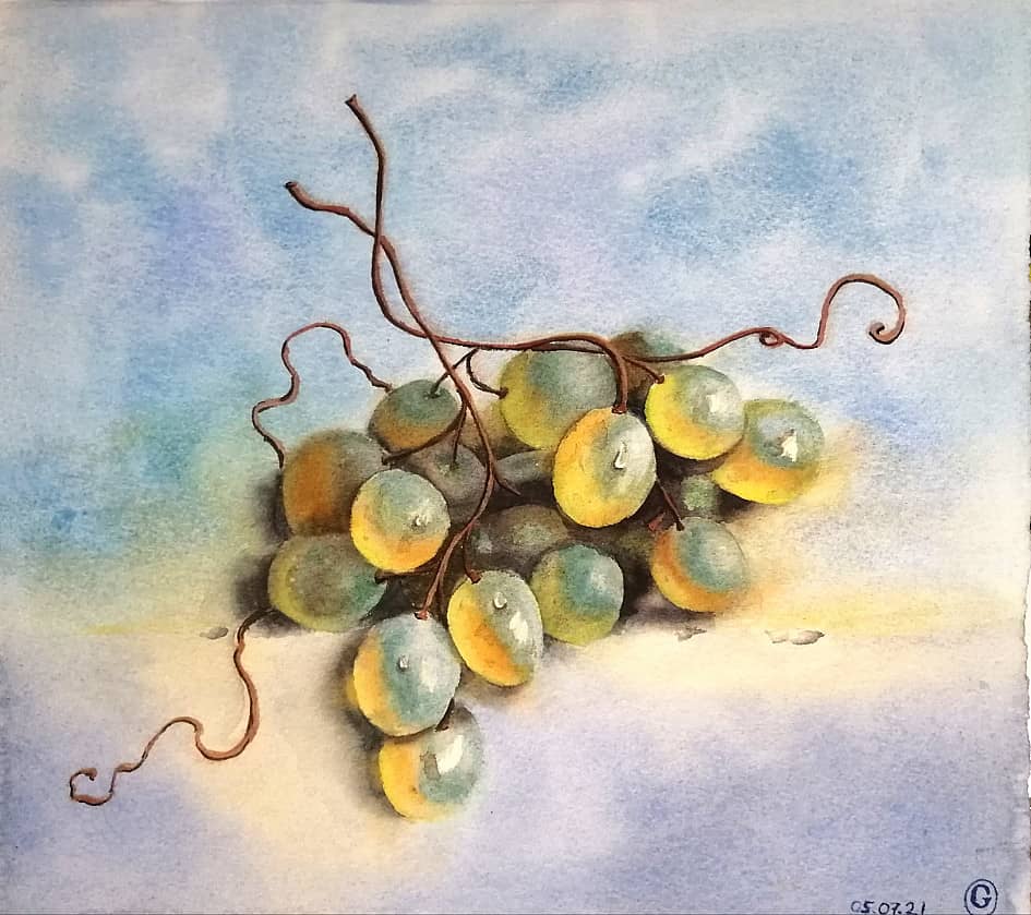 Солнечный виноград