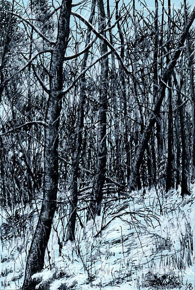 Среди зимы 38  Among the Winter 38