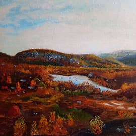 Снежногорск. Дорога к озеру.