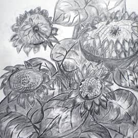 Ветка  подсолнуха