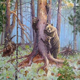 Медвежий угол