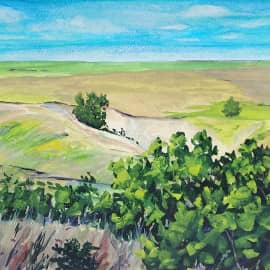 Холмы и овраги