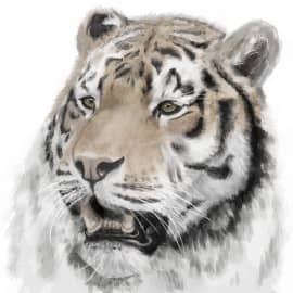 почти царь )))