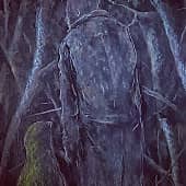 "Мужчина с канарейкой"