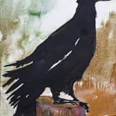 Чёрная птица.