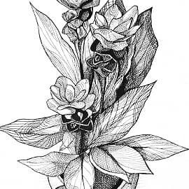 Просто вазон с цветком