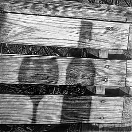 Дачные тени