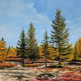 Краски тундры