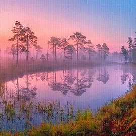 Там за туманами...