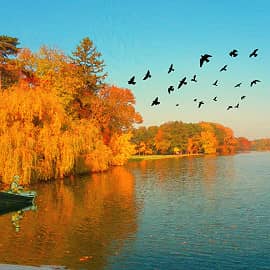 На рыбалке.