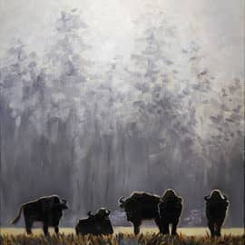 Утро в Беловежской пуще