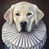 Средневековый лорд