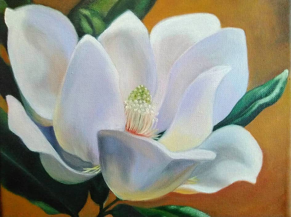 Цветок магнолии